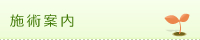 施術案内